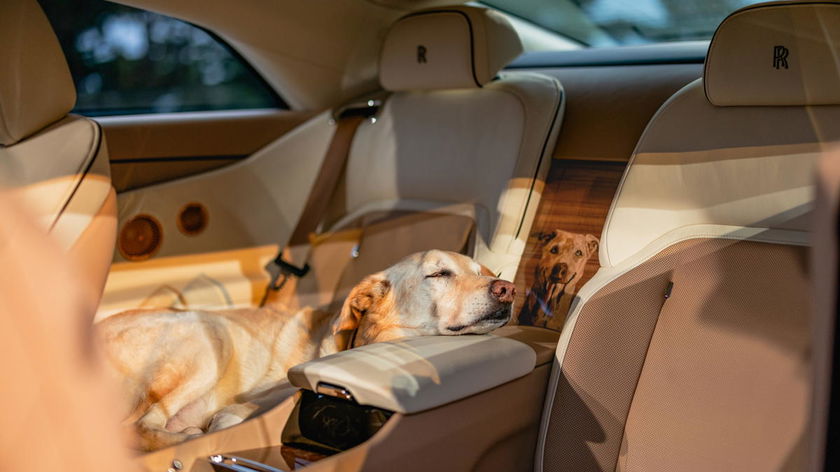 P90620257_highRes_rolls-royce-spectre-