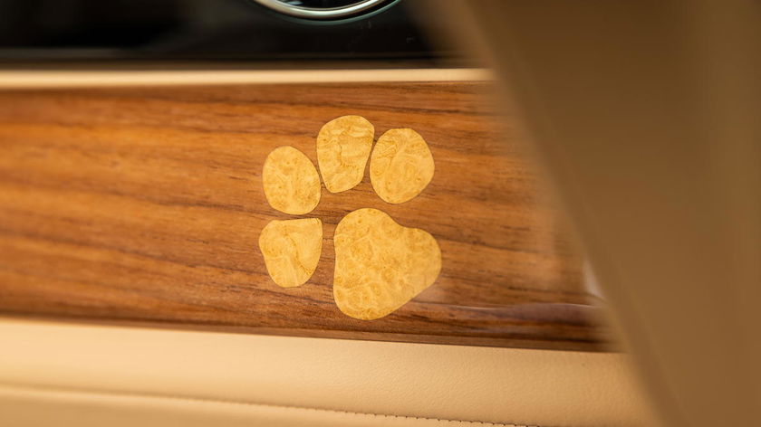 P90620259_highRes_rolls-royce-spectre-