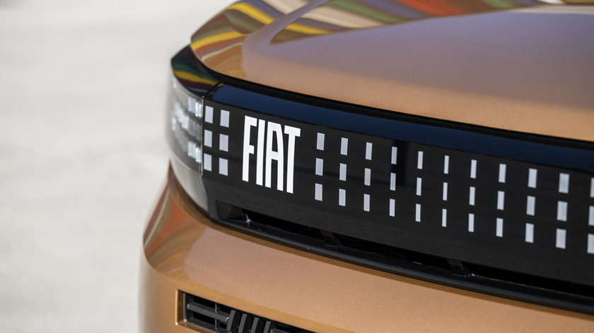 GrandePandaHybridLaPrima-3