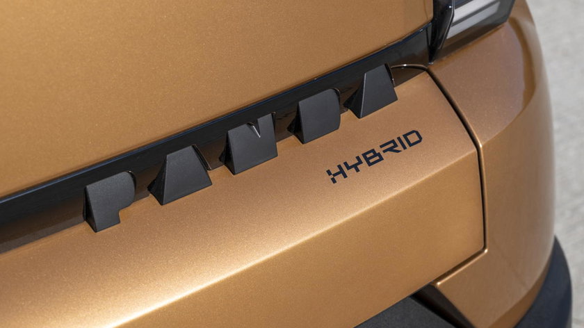 GrandePandaHybridLaPrima-4