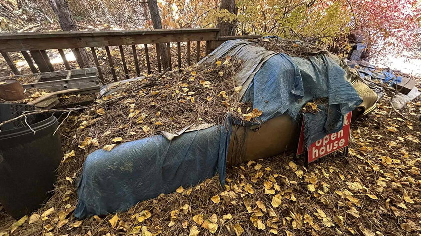 Deze Porsche 911 stond al meer dan 30 jaar onder dennenbomen weg te kwijnen