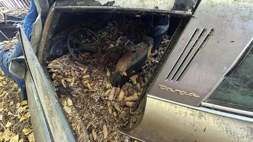 Porsche-911-Targa-Barn-Find-by-Markos-Marzouca-5