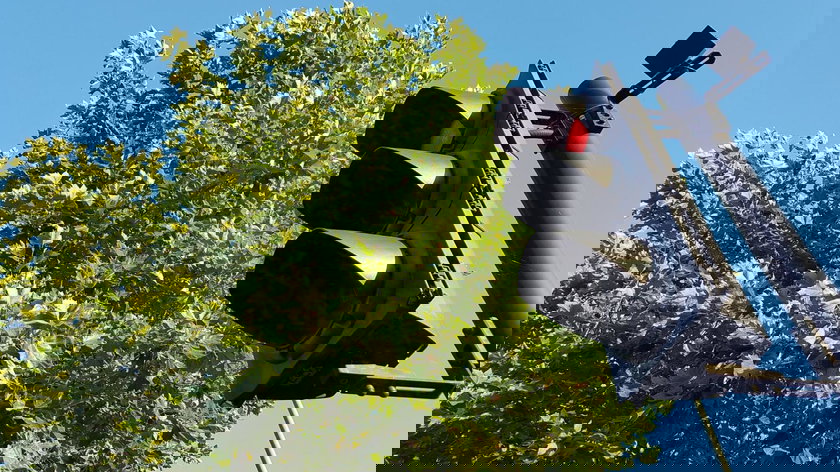 Feux tricolores : cette innovation promet de réduire l’attente de 30%