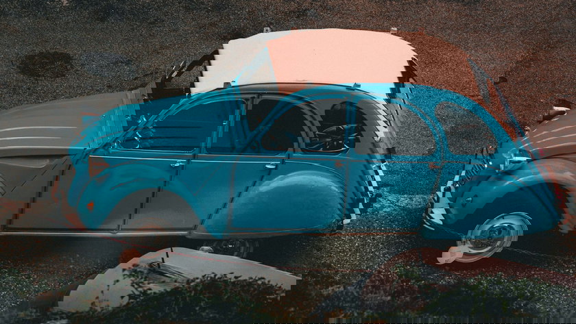 leone-morandini-fYzGrdY4fnk-unsplash