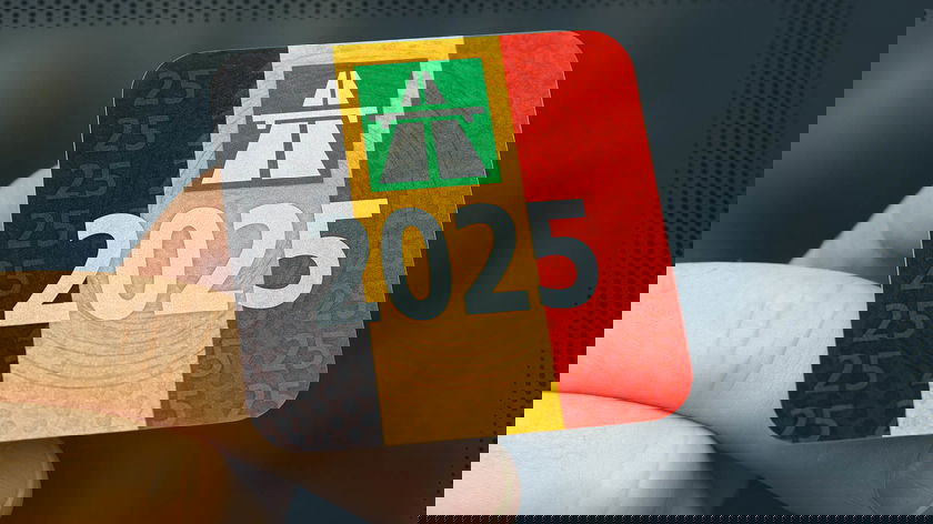 A_digital_photograph_captures_a_close-up_of_a_2025 - copie