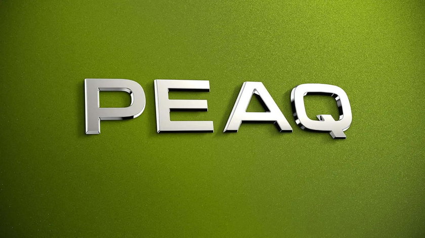 Skoda Peaq: elektrische SUV met 7 zitplaatsen komt er voor de zomer