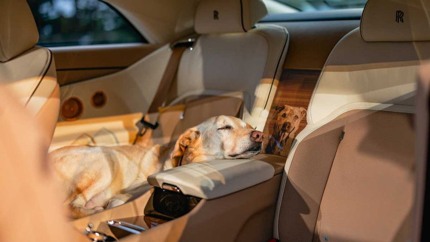 P90620257_highRes_rolls-royce-spectre-