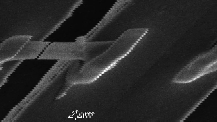 Rice University - copie