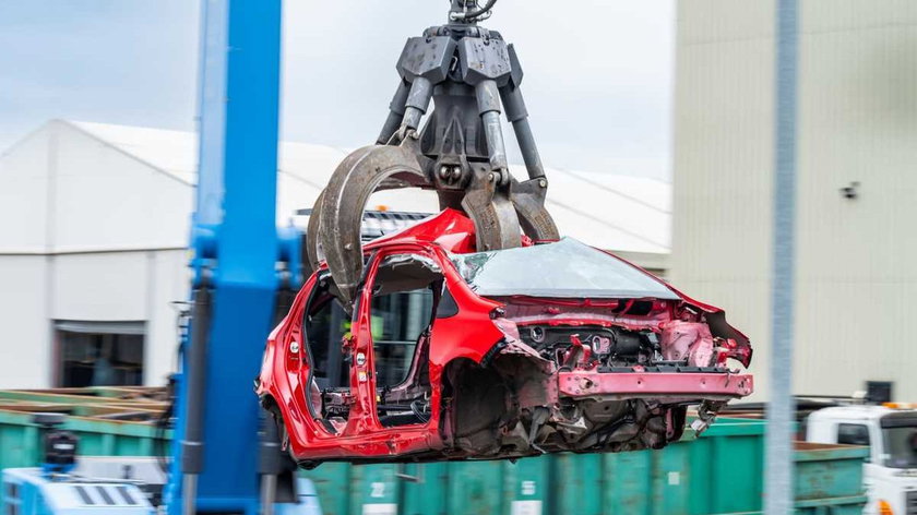 177-timandrew-tcf-009501