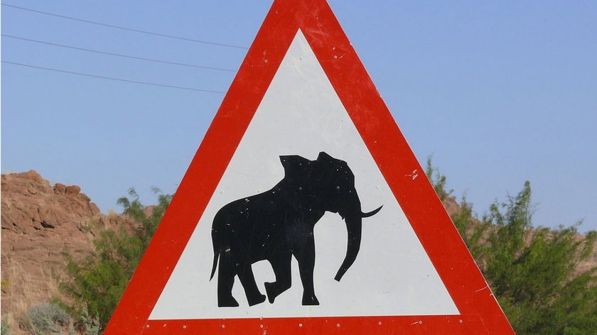 5 règles insolites du code de la route