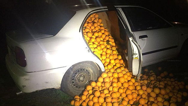 4 ton gestolen sinaasappels ontdekt tijdens politiecontrole