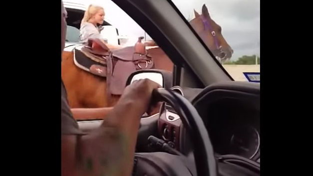 Des conducteurs se lancent dans une mission sauvetage impressionnante (+VIDEO)