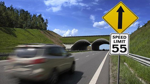 Le Canada revoit ses limites de vitesse…à la hausse !