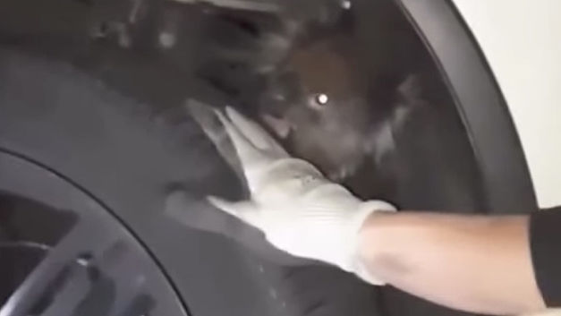 Un koala passager clandestin (+VIDEO)