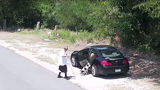 Un homme abandonne son chien au bord d’une route (+VIDEO)