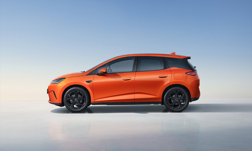 BYD DOLPHIN G DM-i (2) (Nouvelle taille 1)