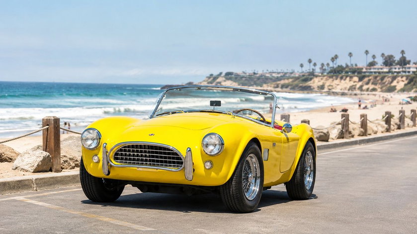 accobra-converti-depuis-jpg