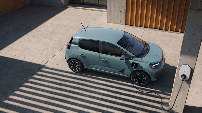 Dacia Spring 2026 Gocar  (8)