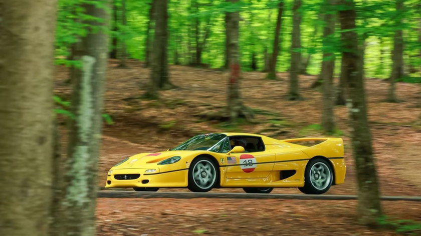 682448a41fca270021bd8409-luki3627