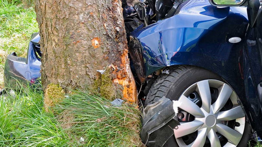 ampnet_photo_20160728_120105