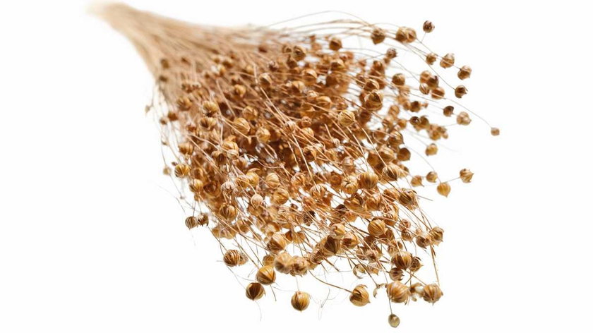 P90605213_highRes_ready-for-series-pro