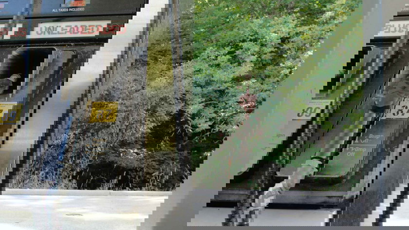 vue-rapprochee-des-pompes-a-carburant-d-une-station-service