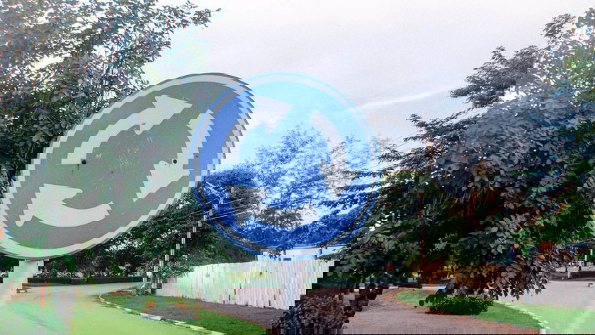 un-panneau-de-signalisation-par-des-arbres-contre-le-ciel