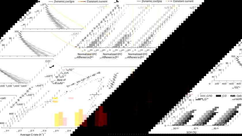 41560_2024_1675_Fig2_HTML - copie