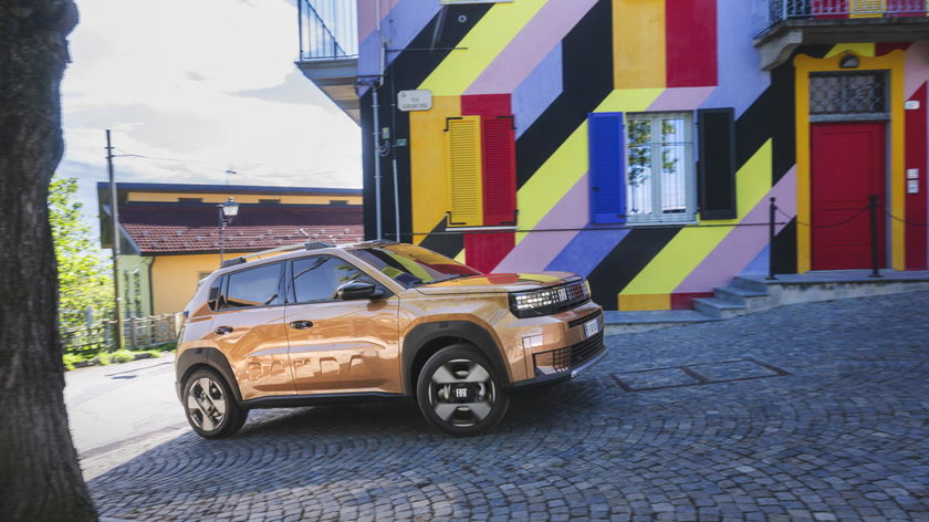 GrandePandaHybridLaPrima