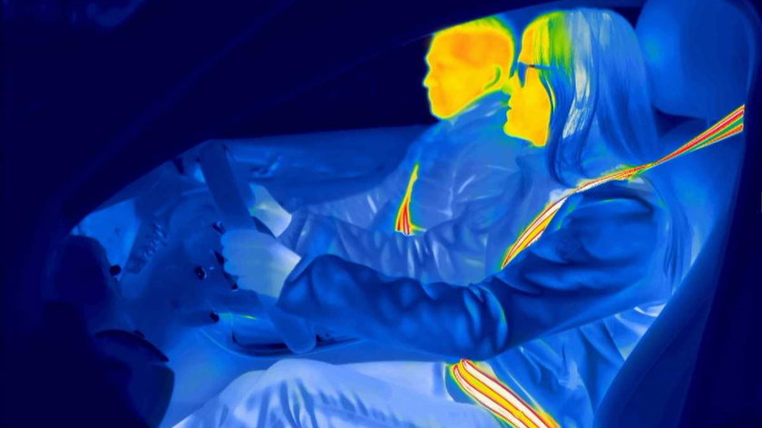 _uploads_ZF_LIFETEC_Heat_Belt_2_0