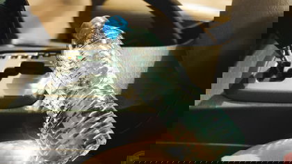 Waarom drinken uit een fles water die in de auto heeft gelegen gevaarlijk is