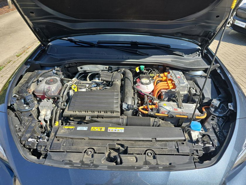 Picture 21