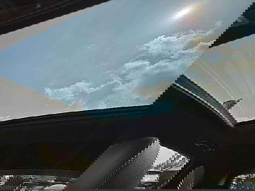 Picture 15