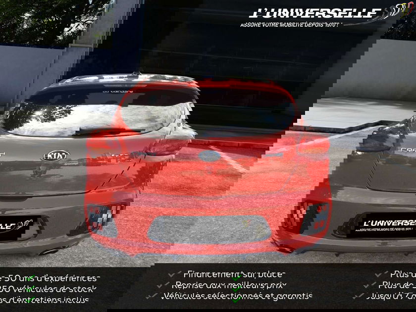 Picture 6