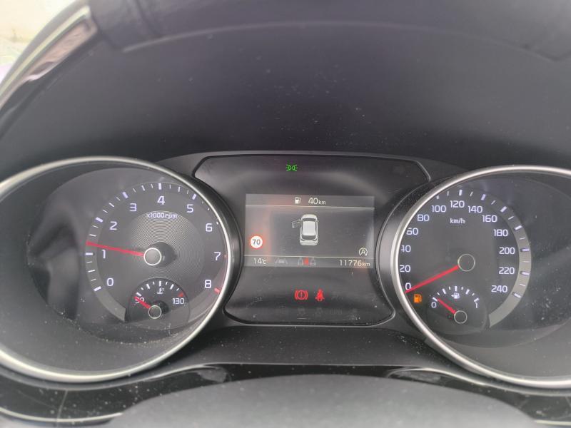 Picture 13