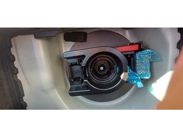 Picture 15