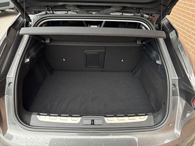 Picture 13